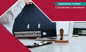 Lawyer Opening Immigration Law Folder