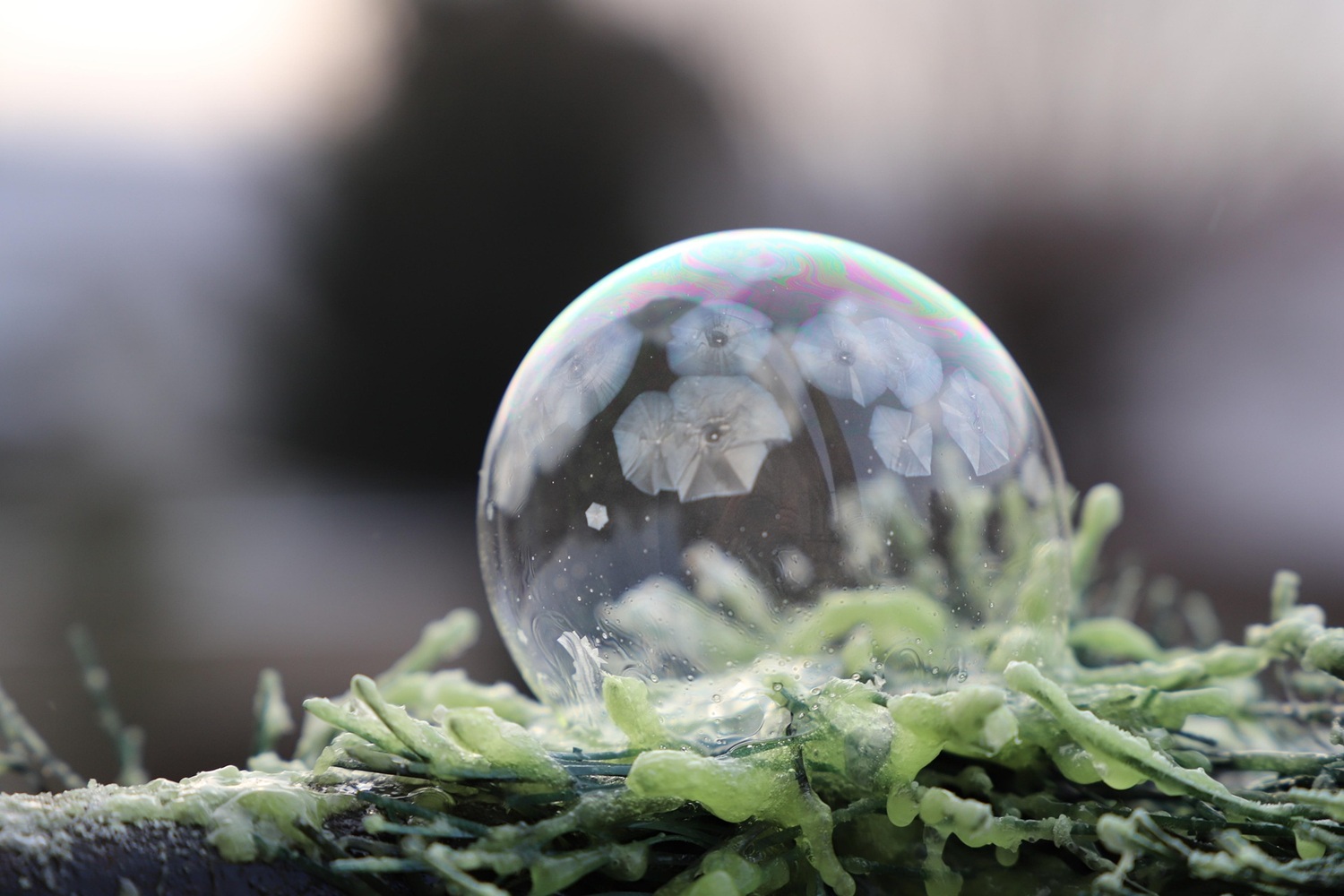 bubble freezing