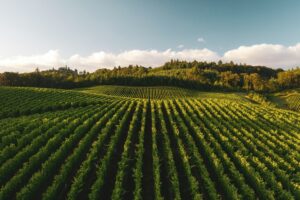 Farming Landscape