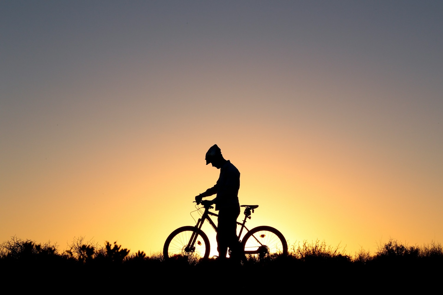 Man On Bike