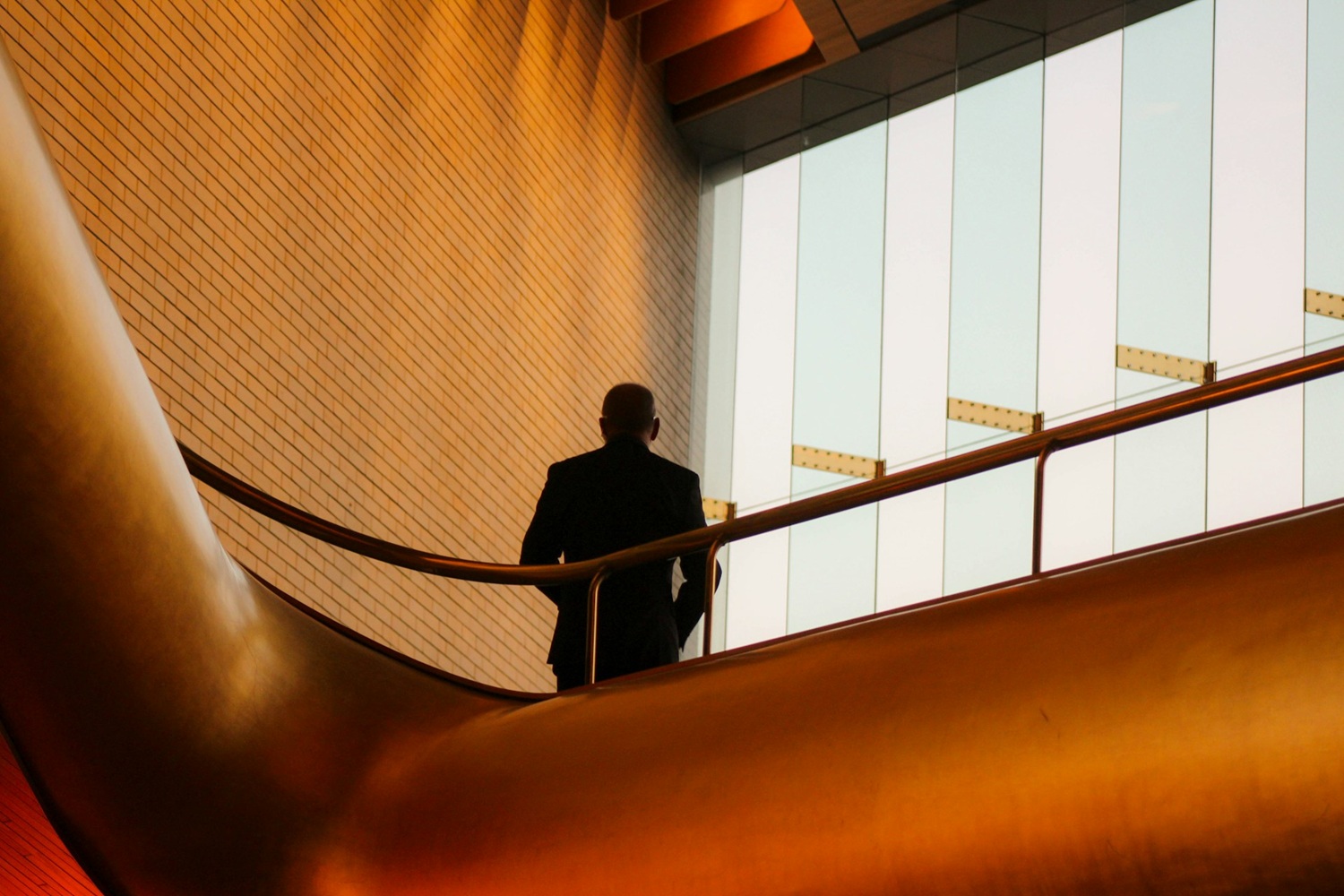 Businessman Struggling With Sponsor Licence Revocation